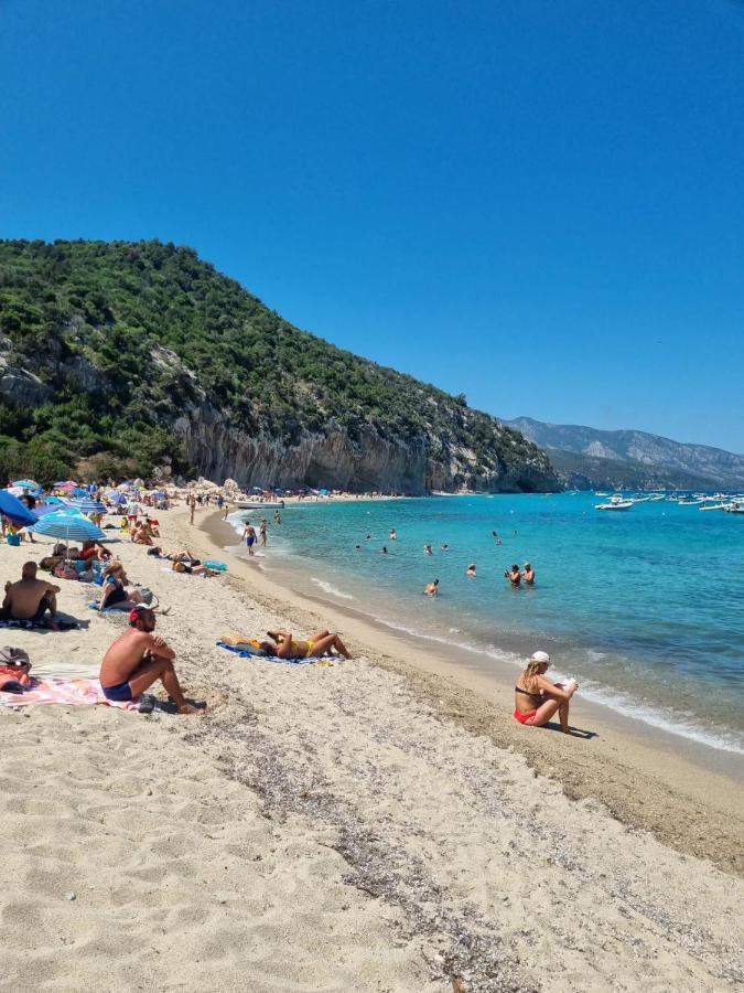Mediterranean Sea Shell Pool House Budoni Εξωτερικό φωτογραφία